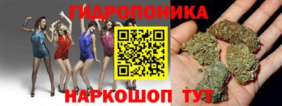 a pvp Конаково