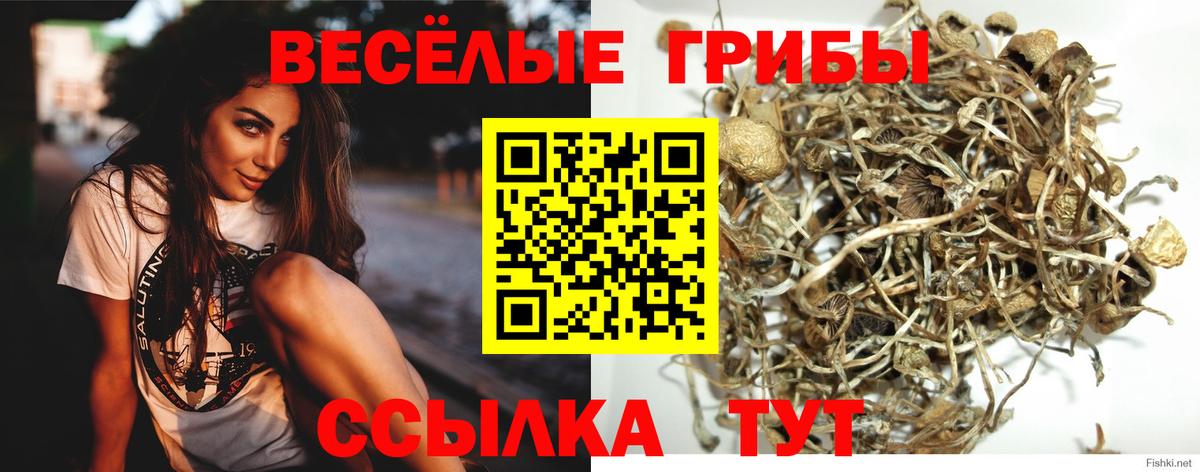 Мефедрон Елизово