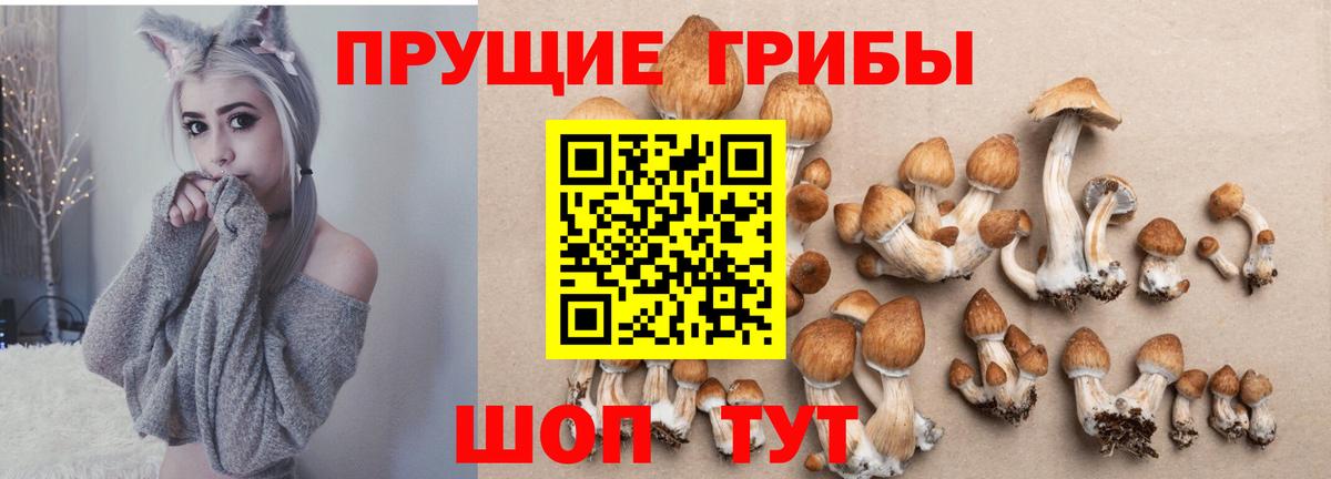 Елизово  Галлюциногенные грибы ЛСД  Вход с VPN 
